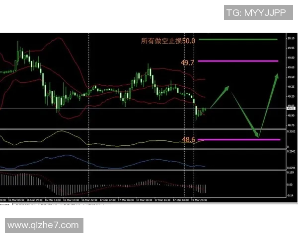 威廉与罗达精彩对决直播全程回顾与分析分享